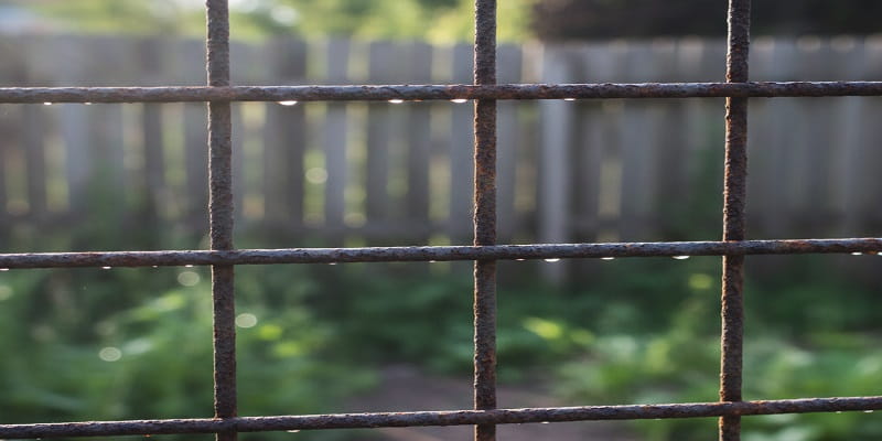 از توری فلزی درشت بافت در زمین های کشاورزی استفاده می شود.