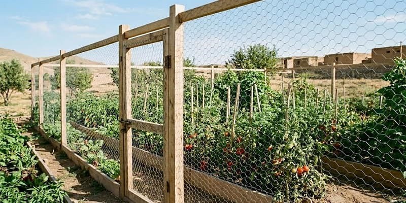 از توری مرغی برای حصارکشی باغ استفاده می شود.